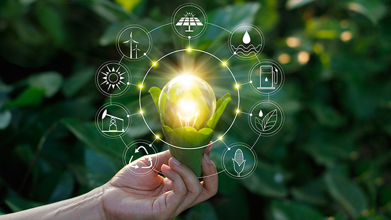 Polde Plastik Çevreci Üretim